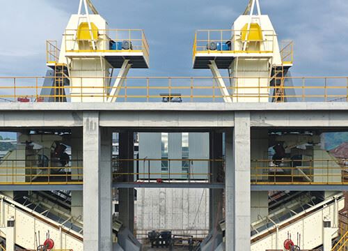 Bucket Elevator Conveyor factory