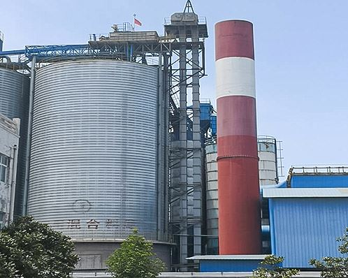 Bucket Elevator Conveyor high quality